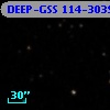 DEEP-GSS 114-3039