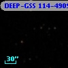 DEEP-GSS 114-4909