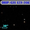 DEEP-GSS 123-3167