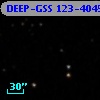 DEEP-GSS 123-4045