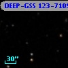 DEEP-GSS 123-7109