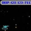 DEEP-GSS 123-7117
