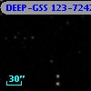 DEEP-GSS 123-7242
