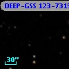 DEEP-GSS 123-7315