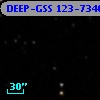 DEEP-GSS 123-7340