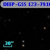 DEEP-GSS 123-7810