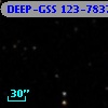 DEEP-GSS 123-7837