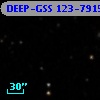 DEEP-GSS 123-7915