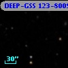 DEEP-GSS 123-8009