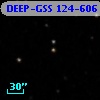 DEEP-GSS 124-606