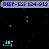 DEEP-GSS 124-919