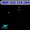 DEEP-GSS 124-2043