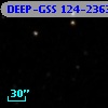 DEEP-GSS 124-2363