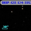 DEEP-GSS 124-3352