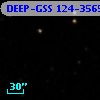 DEEP-GSS 124-3565