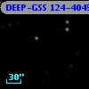 DEEP-GSS 124-4045