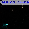 DEEP-GSS 124-4260