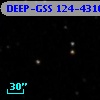 DEEP-GSS 124-4310