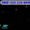 DEEP-GSS 124-6070