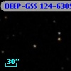 DEEP-GSS 124-6309