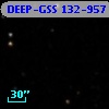 DEEP-GSS 132-957