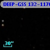 DEEP-GSS 132-1176