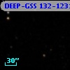 DEEP-GSS 132-1231