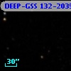 DEEP-GSS 132-2035