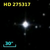 HD 275317