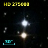HD 275088