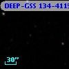 DEEP-GSS 134-4115