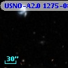 USNO-A2.0 1275-08951528