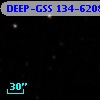 DEEP-GSS 134-6208