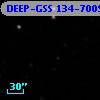 DEEP-GSS 134-7009