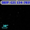 DEEP-GSS 134-7039