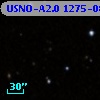 USNO-A2.0 1275-08494541
