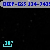 DEEP-GSS 134-7438