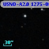 USNO-A2.0 1275-08405256