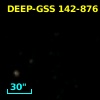 DEEP-GSS 142-876