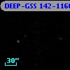 DEEP-GSS 142-1166