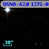 USNO-A2.0 1275-08254391