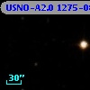 USNO-A2.0 1275-08148491