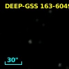 DEEP-GSS 163-6049