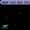 DEEP-GSS 163-7312