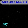 DEEP-GSS 164-1111