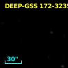 DEEP-GSS 172-3235