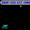 DEEP-GSS 172-4466