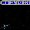 DEEP-GSS 173-725