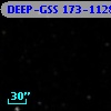 DEEP-GSS 173-1128