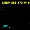 DEEP-GSS 173-6410